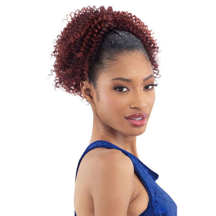 Freetress Equal Lite Ponytail - Crown Updo