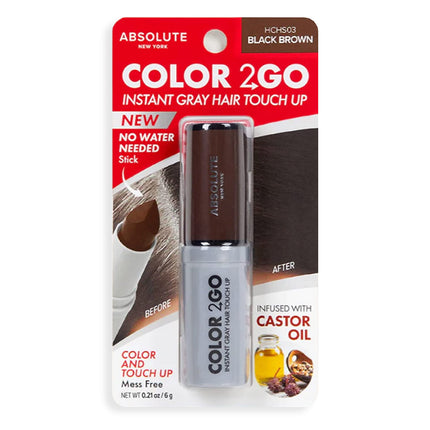 Absolute New York Color 2Go Instant Gray Hair Touch Up