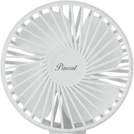 [Absolute] Standing Beauty Fan